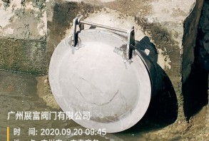 不銹鋼弧面拍門(mén)、拱形拍門(mén)